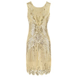 Deluxe Gatsby Ladies 1920s Roaring Party Flapper Costume Sequins Dress