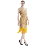 Women Tassel Dresses Sequins Beaded Tassels Party Night Gown 1920 Flapper Dress